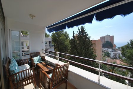 Pequeño estudio en hermoso complejo en San Augusti